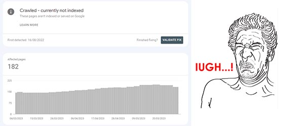 Crawled - Currently Not Indexed